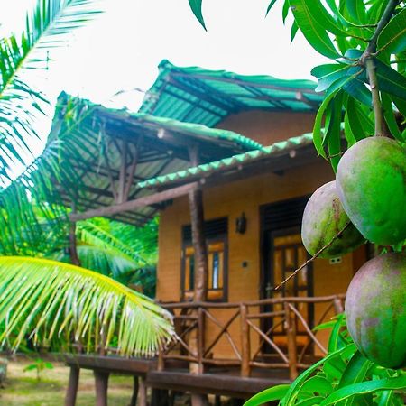 Yalaway Nature Villa 蒂瑟默哈拉默 外观 照片