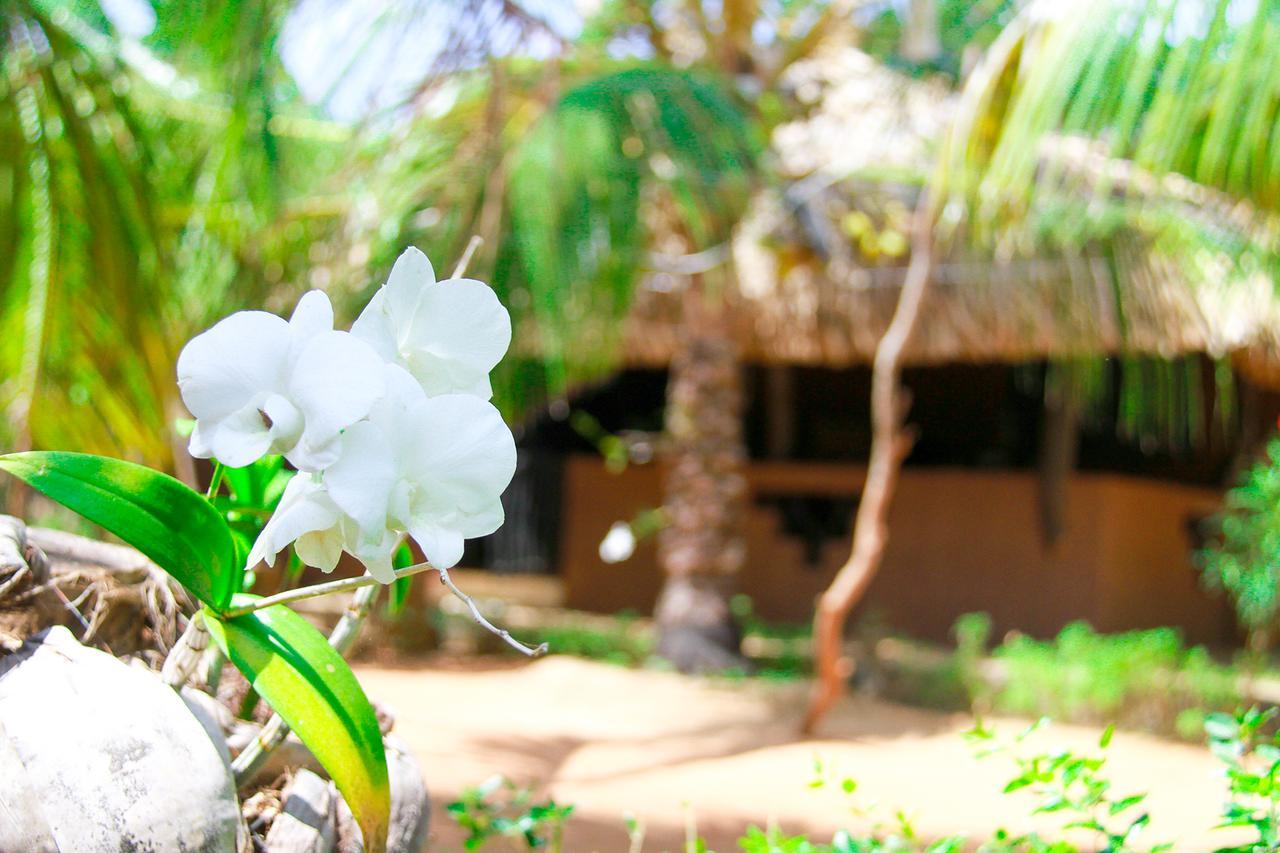 Yalaway Nature Villa 蒂瑟默哈拉默 外观 照片