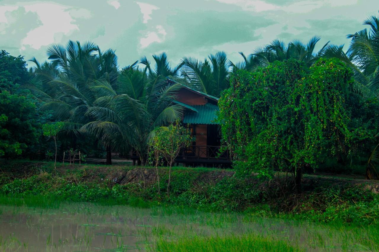 Yalaway Nature Villa 蒂瑟默哈拉默 外观 照片